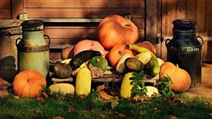 Quante Persoe Hanno Comprato Mspy